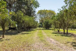 Quinta San Jose – Casa de Campo Familiar- Desde 1892