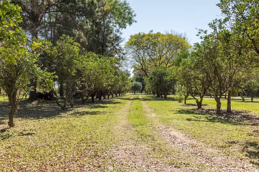 Quinta San Jose – Casa de Campo Familiar- Desde 1892