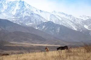 Rancho Adobe Hotel Boutique de montaña