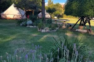 RANCHO ALEGRE Hospedaje & Glamping