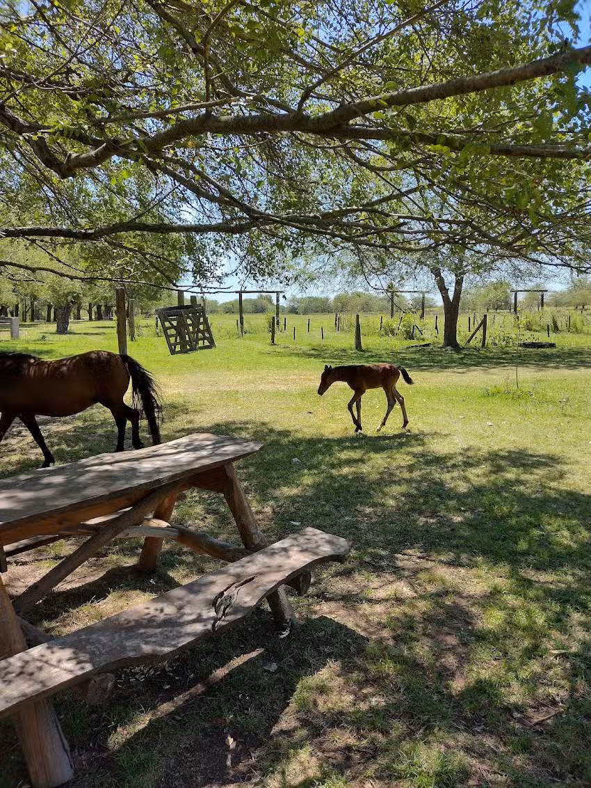 Recreo “Haras Camping Arroyo Las Hermanas”