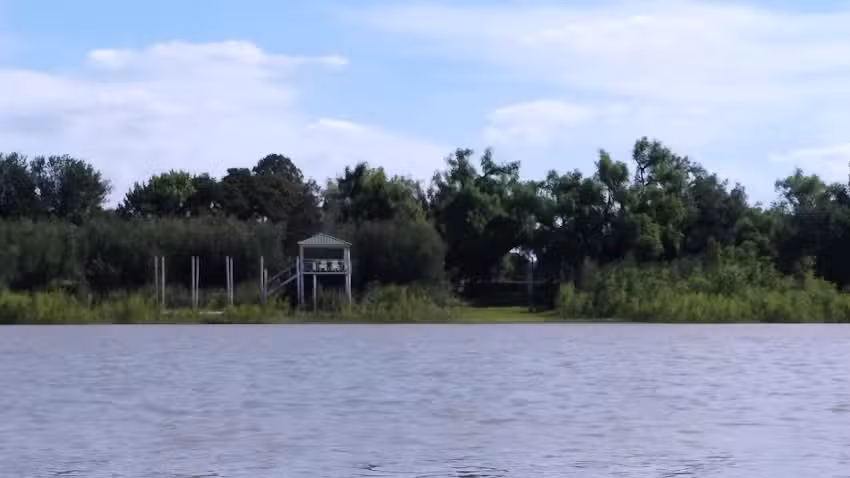 Recreo Parador Wilson