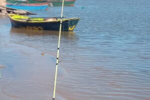 Reflejos del Paraná