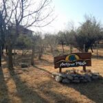 Refugio Antiguo Molle