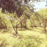 Refugio Antiguo Molle