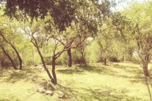 Refugio Antiguo Molle