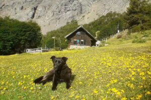 Refugio de Montaña Cerro Piltriquitrón