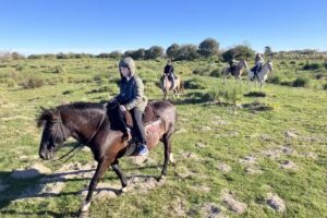 Refugio El Manantial