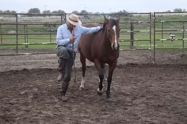 Refugio El Manantial