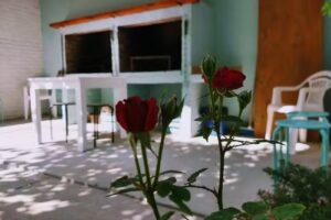 Refugios Del Sur Alquileres Temporarios