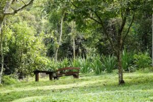 Reserva Natural Don Rodolfo