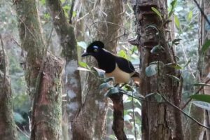 Reserva Privada YVYTU