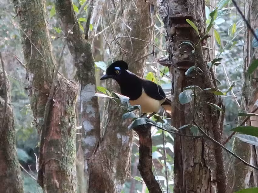 Reserva Privada YVYTU