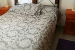 Residencia Don Roque