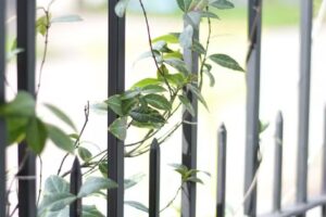 Residencia Sur Pergamino