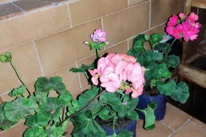 Residencial Las Tinajas de Salta