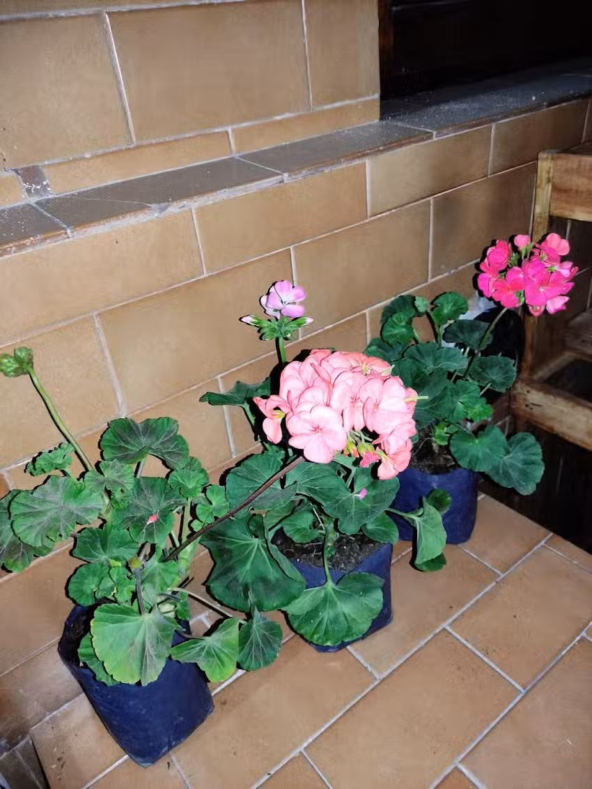 Residencial Las Tinajas de Salta