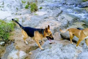 Residencial Portal de Luz