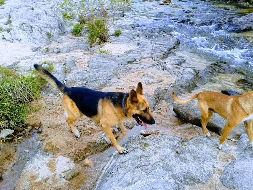 Residencial Portal de Luz