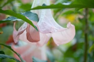 Restaurante Pasaje Solar