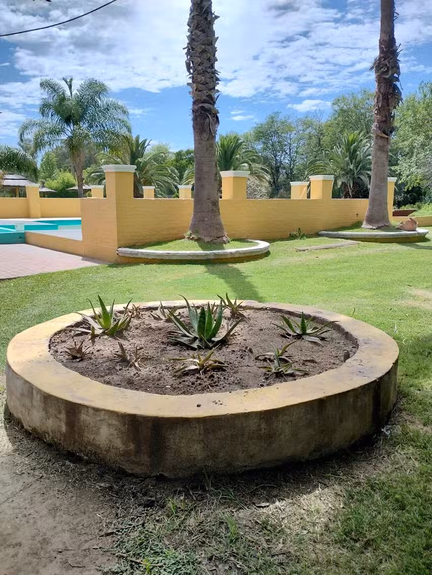 Rincón de piru