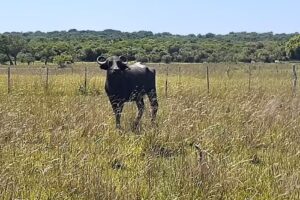 Rincón Del Diablo Fishing & Adventure Lodge