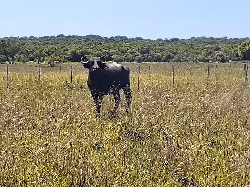 Rincón Del Diablo Fishing & Adventure Lodge