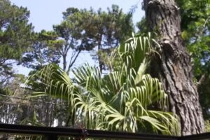 Rincon del Este – Cabañas