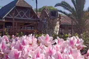 RIO HOTEL LAURA DE DOING BUSINESS GROUP