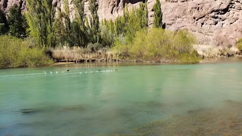 Rivera del Rio – Departamentos Hilda