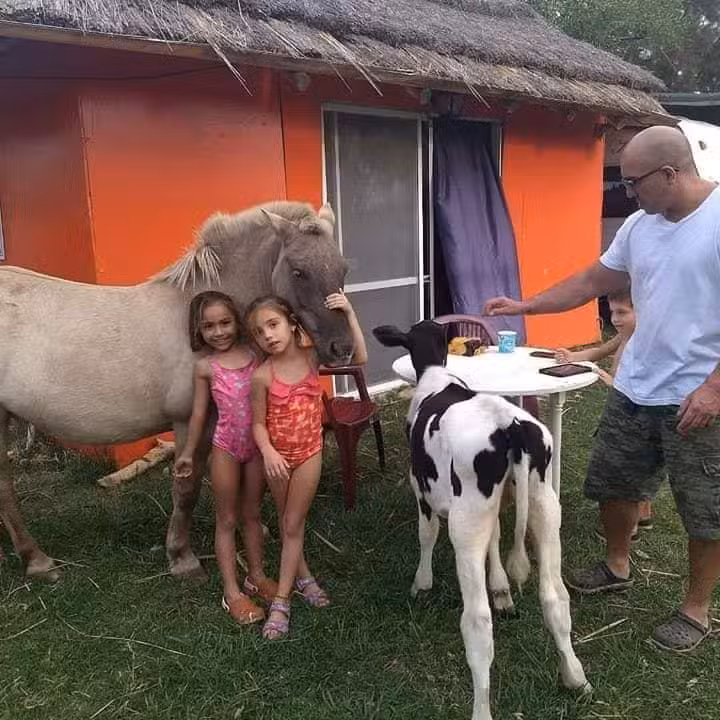 RUCA ALI cabaña y parcelas