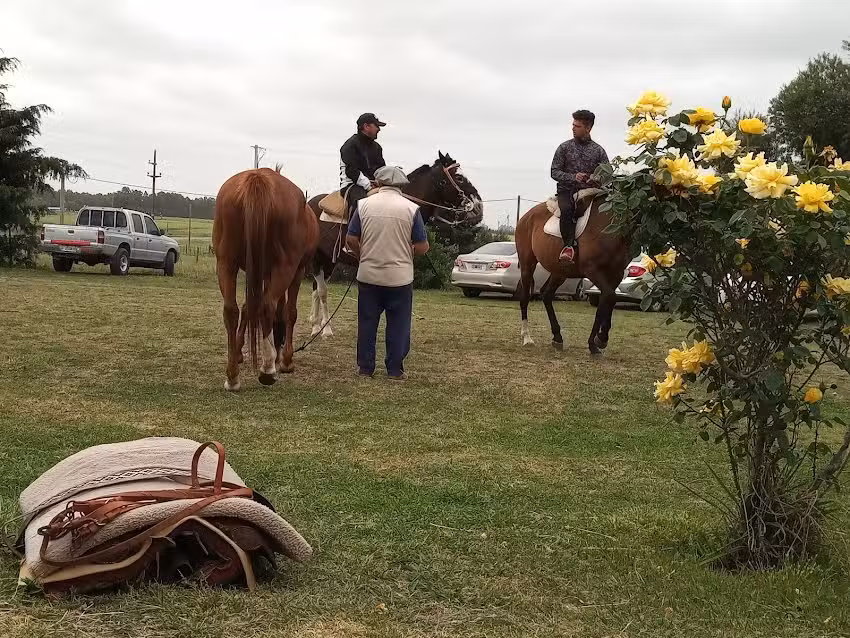 Ruka Mapu Casa de Campo