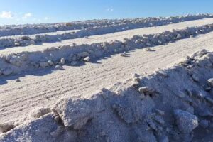 Salinas del Bebedero