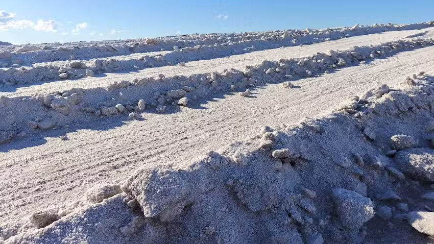 Salinas del Bebedero
