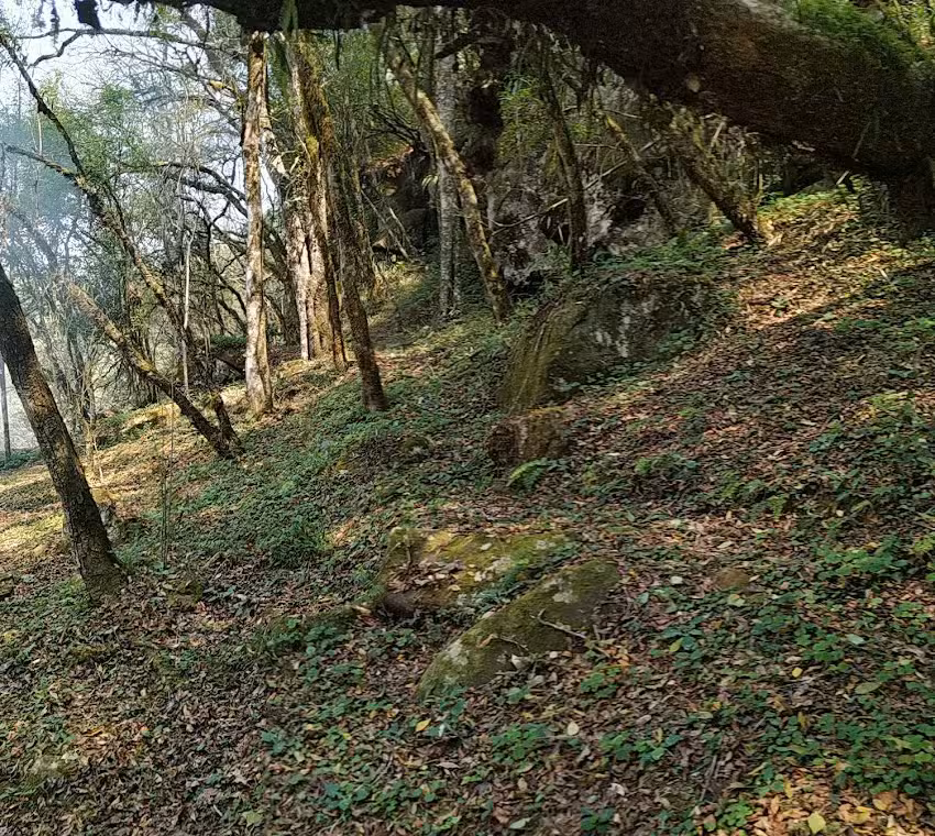 Salto Camping La Cascada