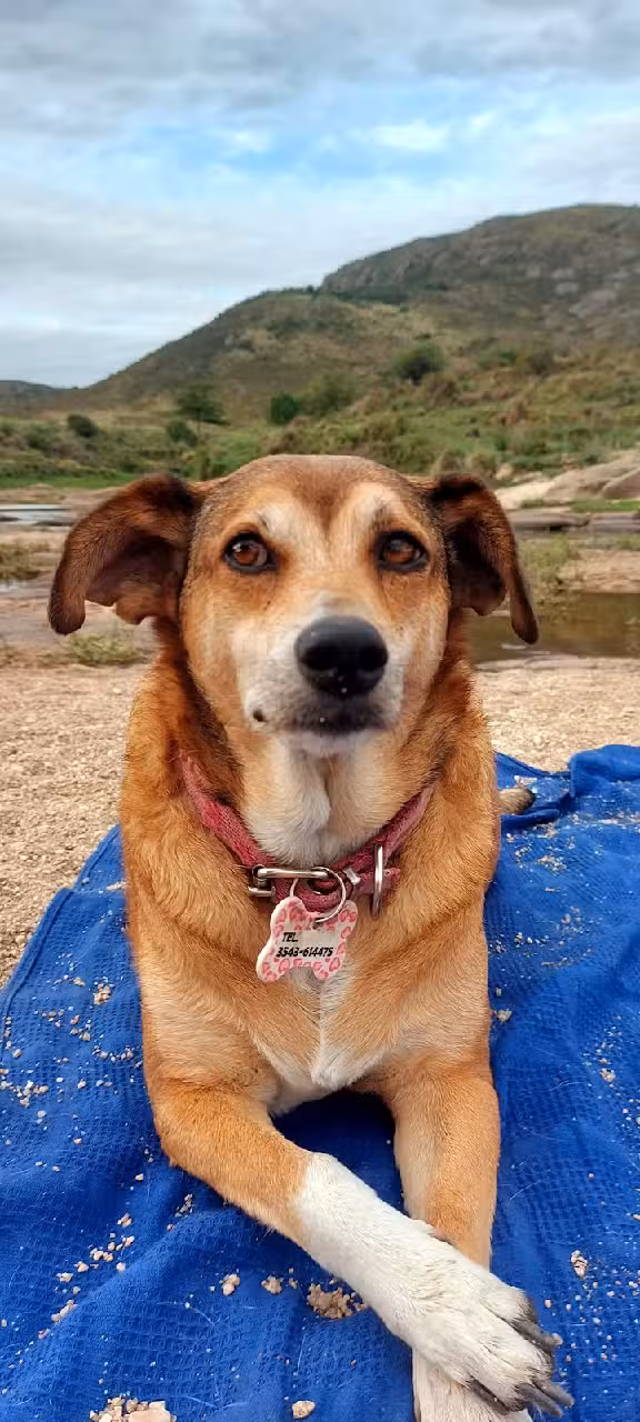 San José de los Ríos