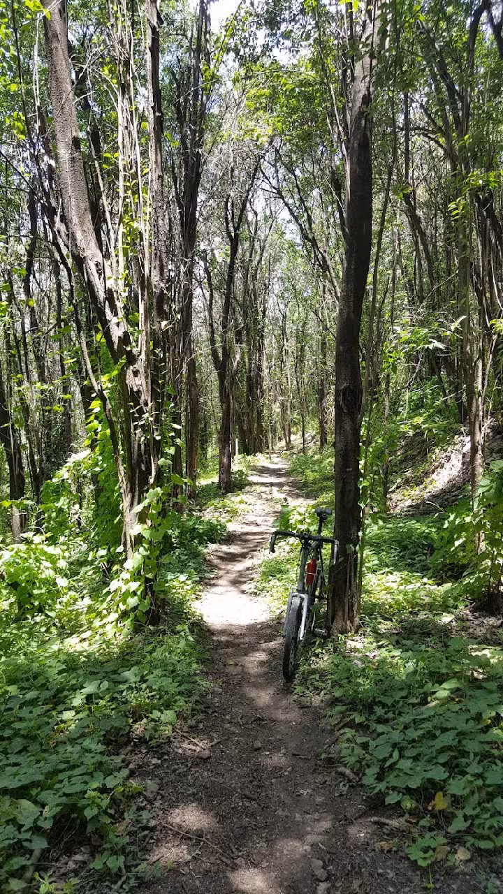 SECCION B Y C ÑU PORÁ