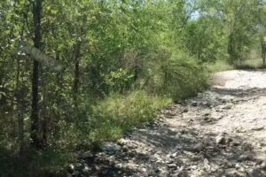 Sencillamente Cabañas