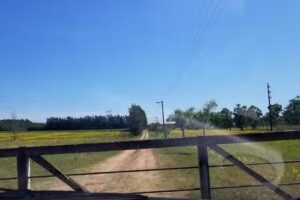 Senderos (Casa Quinta&Cabañas)