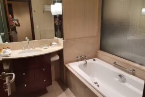 Sheraton Mendoza Hotel