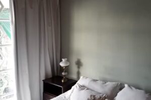 Silangelus Huespedes