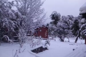 Solar Selvana | Casas de montaña