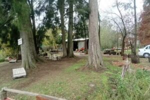 Solares de la Ribera