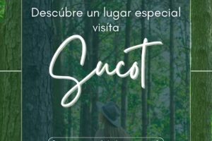 Sucot