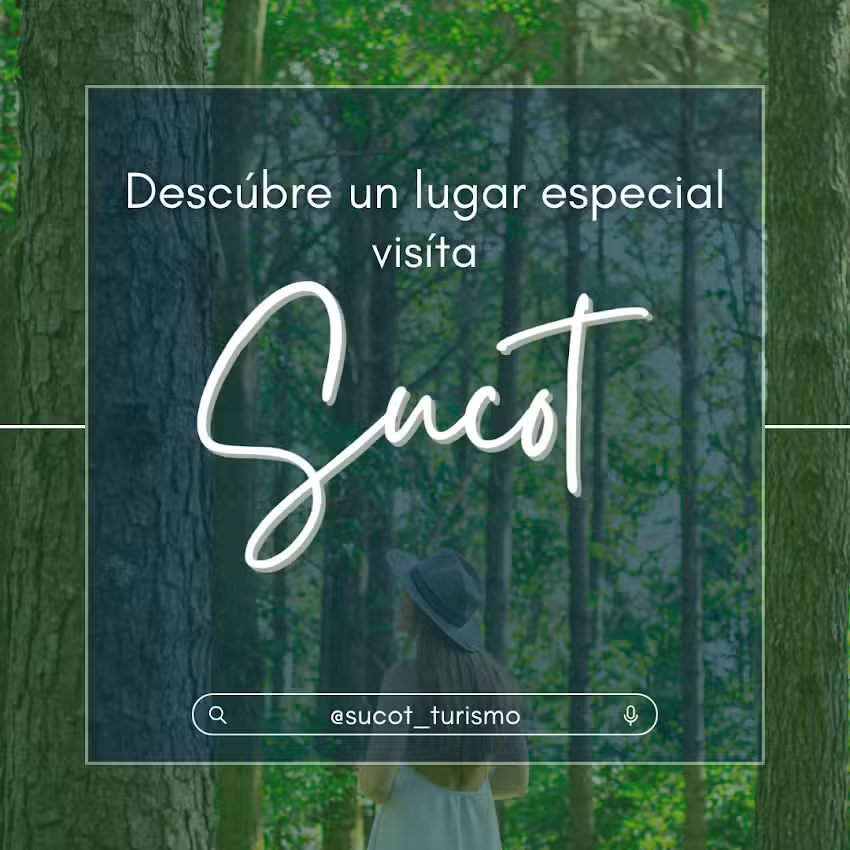 Sucot