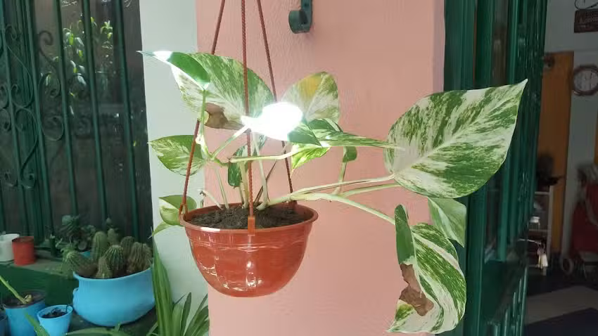 Sueños de Paz-Alquileres Temporarios