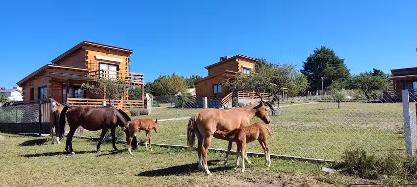 Susurro’s del Lago