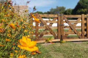 TAJÝ Cabaña de pueblo