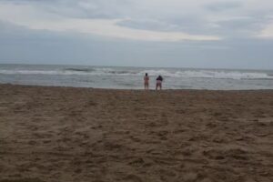 Tamarindo Departamentos