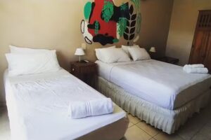 Tangoinn Bed & Brewery